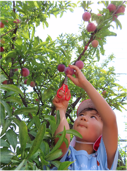 倉敷福祉事業会